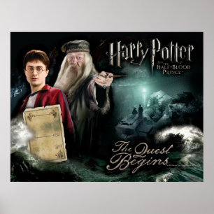 Affiches Harry Potter et Dumbledore