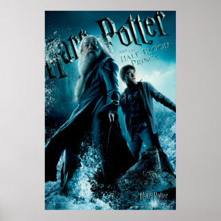 Affiches Harry Potter et Dumbledore sur des rochers 1