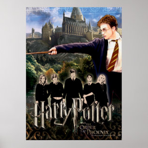 AFFICHES HARRY POTTER ET L'ORDRE DU PHOENIX™