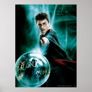 Affiches Harry Potter et Voldemort un seul peut survivre