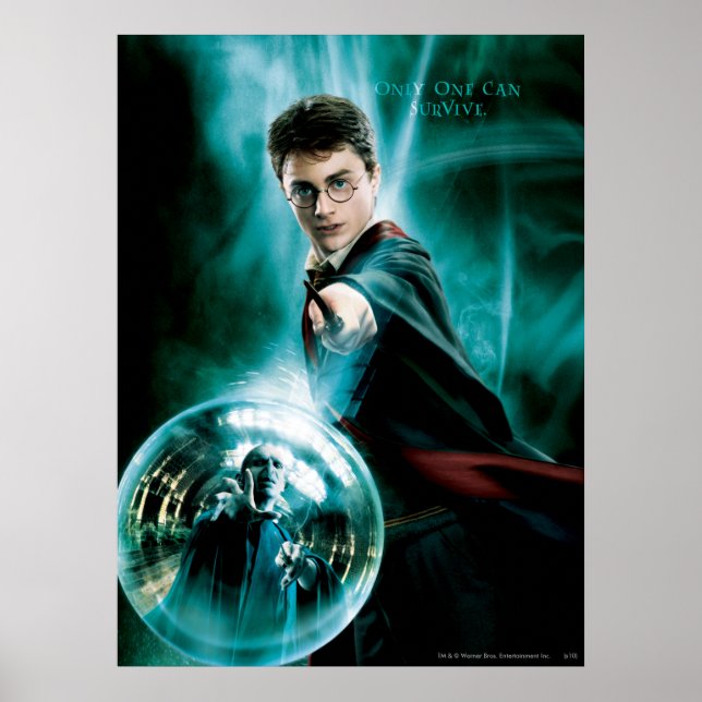 Affiches Harry Potter et Voldemort un seul peut survivre (Devant)