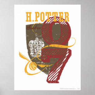 Affiches Harry Potter QUIDDITCH™
