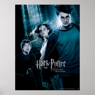 Affiches Harry Potter Ron Hermione en forêt