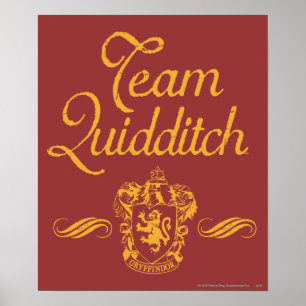 Affiches Harry Potter Team QUIDDITCH™