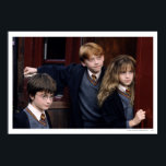 Affiches Harry, Ron, and Hermione<br><div class="desc">Harry Potter and the Sorcerer's Stone</div>