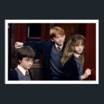 Affiches Harry, Ron, and Hermione<br><div class="desc">Harry Potter and the Sorcerer's Stone</div>