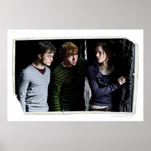 Affiches Harry, Ron et Hermione 4