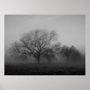 Affiches Hauning Fog Canvas