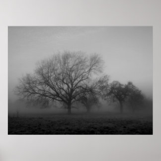 Affiches Hauning Fog Canvas