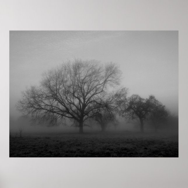 Affiches Hauning Fog Canvas (Devant)
