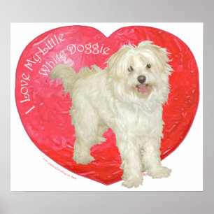 Affiches Havanese / Westie Mix Saint-Valentin