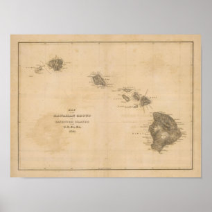 Affiches Hawaii 3