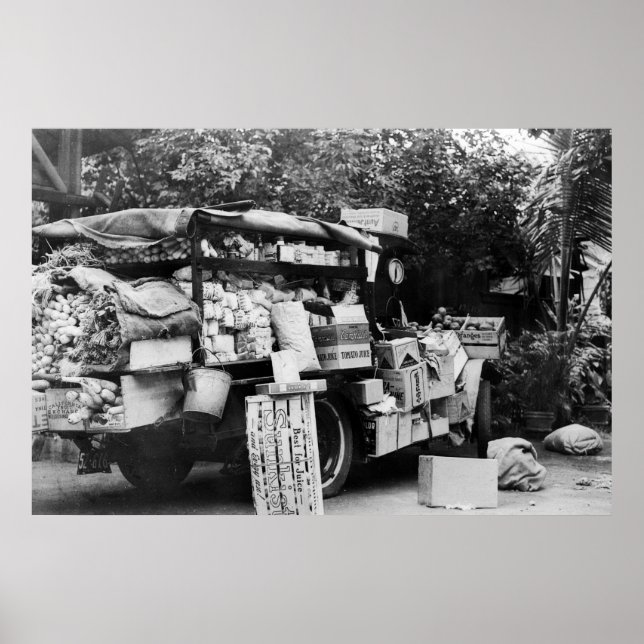 Affiches Hawaii - Vue d'un Wagon végétal autochtone (Devant)