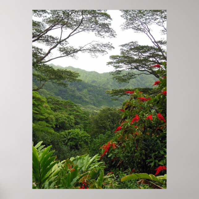 Affiches Hawaiian Tropical Rain Forest (Devant)