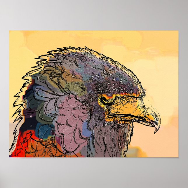 AFFICHES HAWK (Devant)