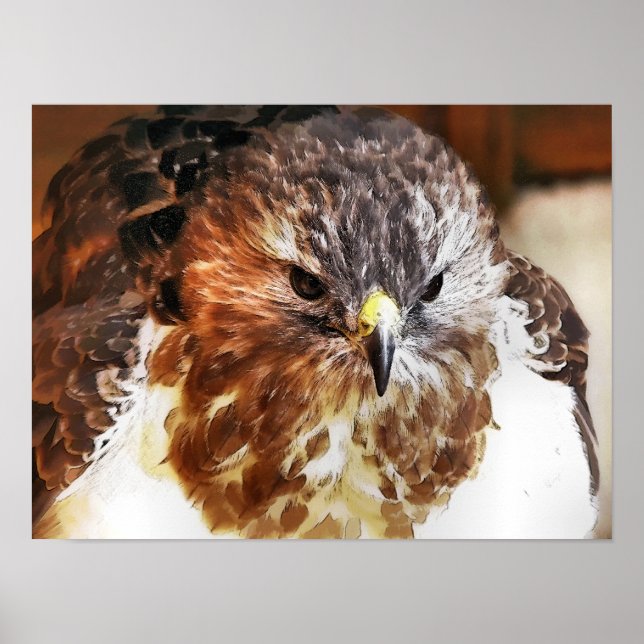 AFFICHES HAWK (Devant)