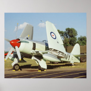 Affiches Hawker Sea Fury à CAF, Minnesota Wing, à la