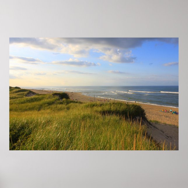 Affiches Head of the Meadow Beach Truro Cape Cod (Devant)