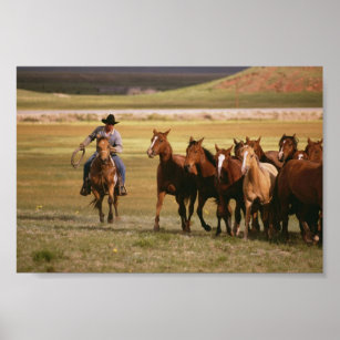 Affiches Hébergement de cowboys au ranch