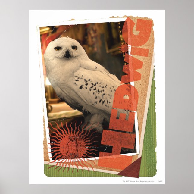 Affiches Hedwige 1 (Devant)