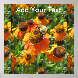 Affiches Helenium Bee Orange Flower