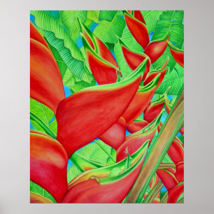 Affiches Heliconia rouge