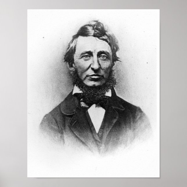 Affiches Henry Thoreau (Devant)
