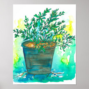 Affiches Herb Garden Rosemary