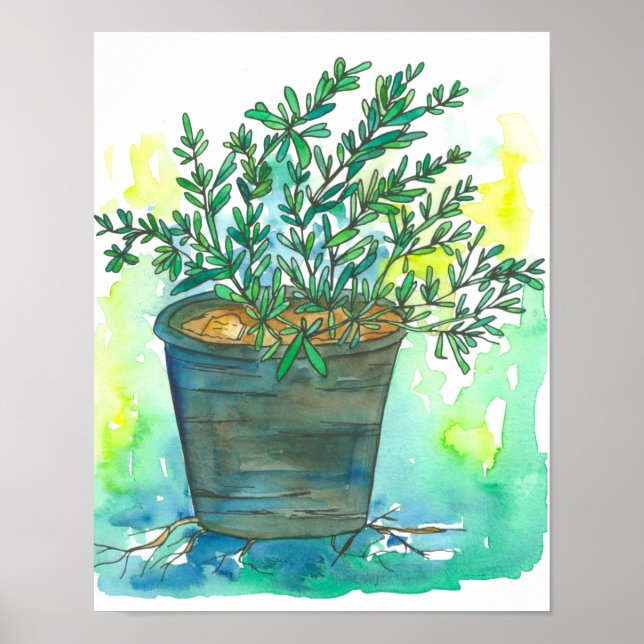 Affiches Herb Garden Rosemary (Devant)