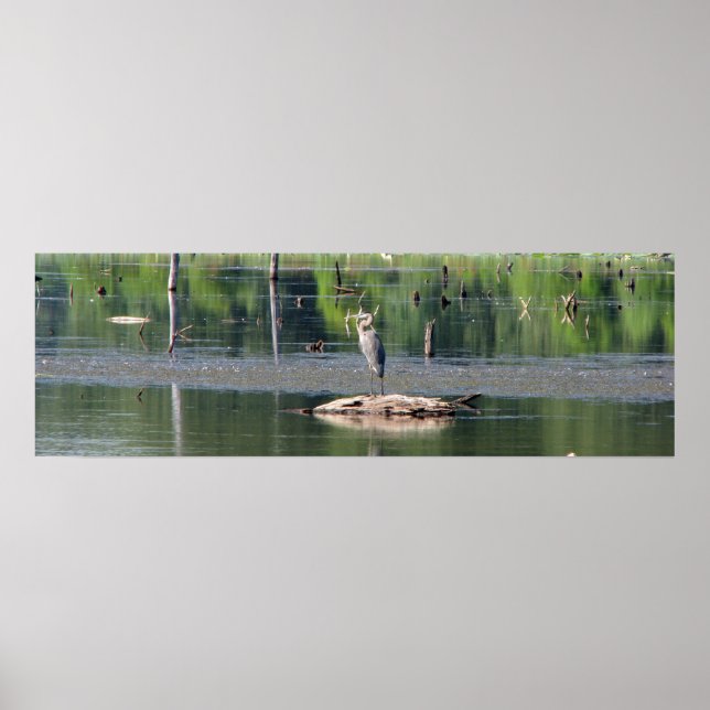Affiches Heron (Devant)