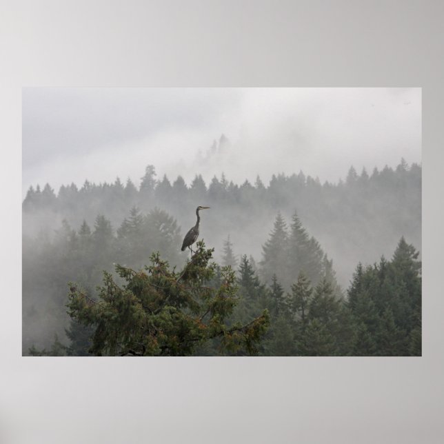 Affiches Héron dans un paysage montagnard bruyant (Devant)