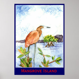 Affiches Heron de l'île de Mangrove