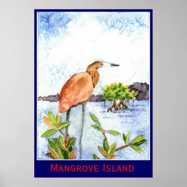 Affiches Heron de l'île de Mangrove (Devant)