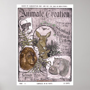 Affiches "Hess Vintage-Selmar -1898-Animate Creation"