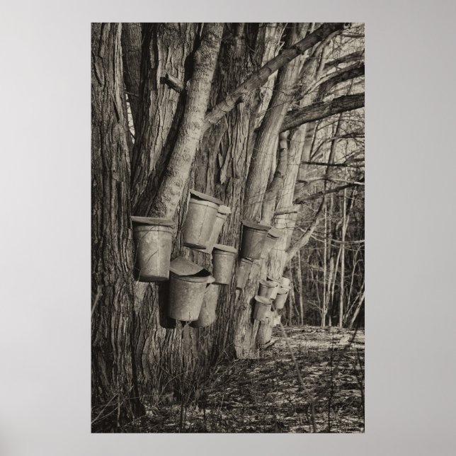 Affiches Heure du sirop d'érable (Devant)