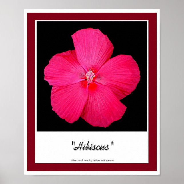 Affiches Hibiscus (Devant)