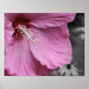 Affiches Hibiscus rose Peinture Art