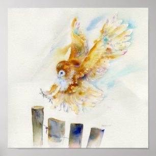 Affiches Hibou de grange