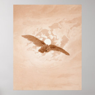 Affiches Hibou volant contre un ciel au clair de lune Caspa