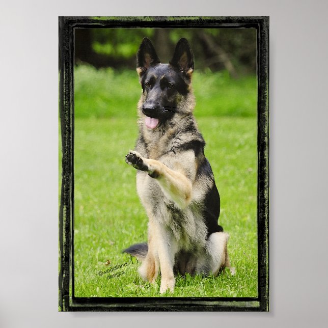 Affiches High Five German Shepherd (Devant)