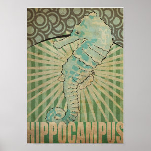 Affiches Hippocampus