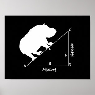 Affiches Hippotenuse