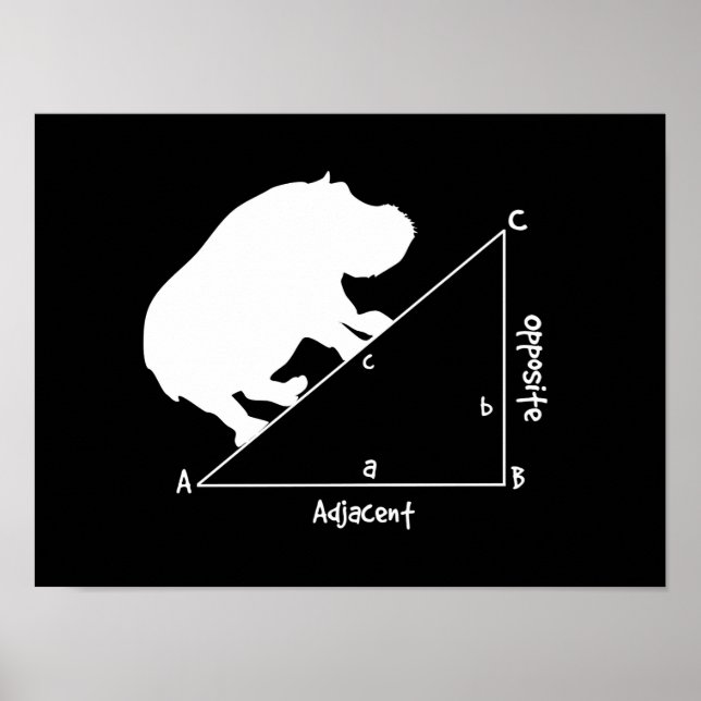 Affiches Hippotenuse (Devant)