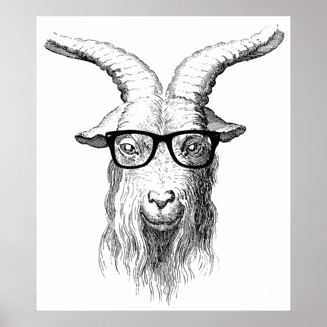 Affiches Hipster goat (Devant)