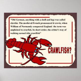 Affiches Histoire de la langouste, de quel nom s'agit-il ?