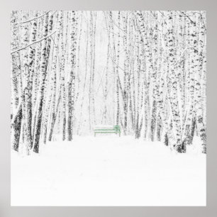 Affiches Histoire de Noël blanche