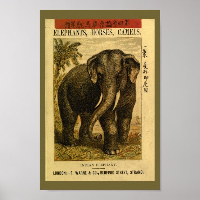 Affiches Histoire naturelle des éléphants indiens vintages  (Devant)