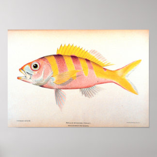 Affiches Historic Fisheries