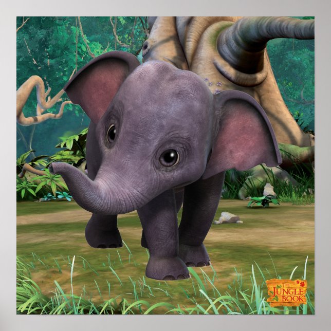 Affiches Hita 2 (Devant)