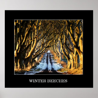 Affiches Hiver